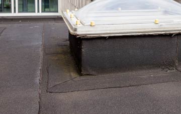 disadvantages of Rhyd Y Meirch flat roofs