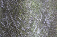 Rhyd Y Meirch fibreglass roof work